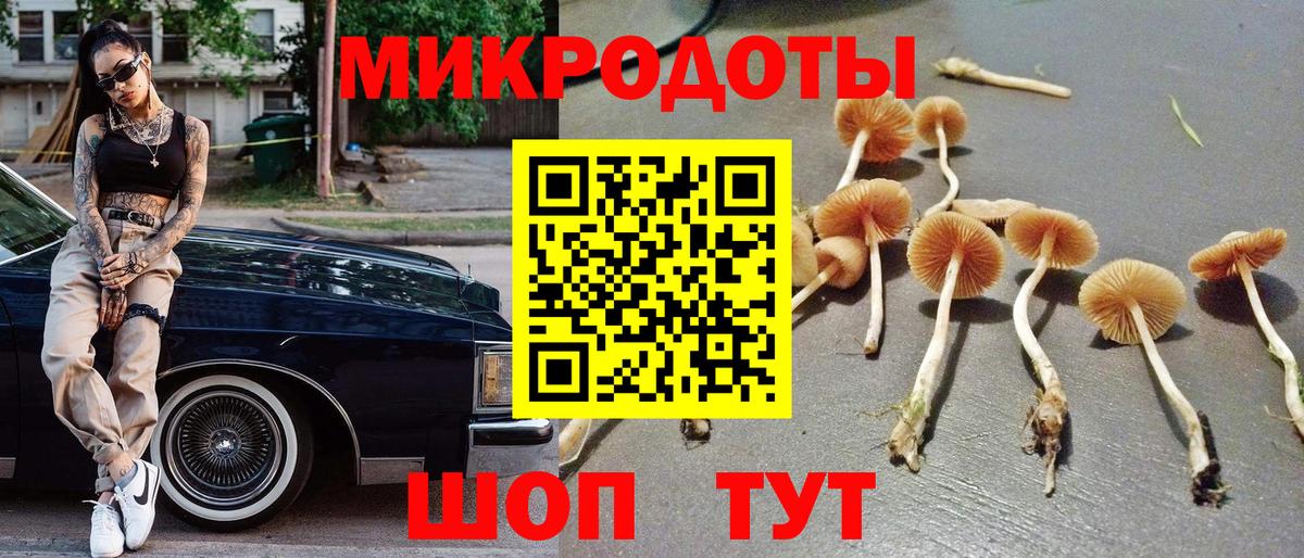 Галлюциногенные грибы Magic Shrooms  купить наркотик  Волхов  Галлюциногенные грибы MAGIC MUSHROOMS  Вход с VPN 