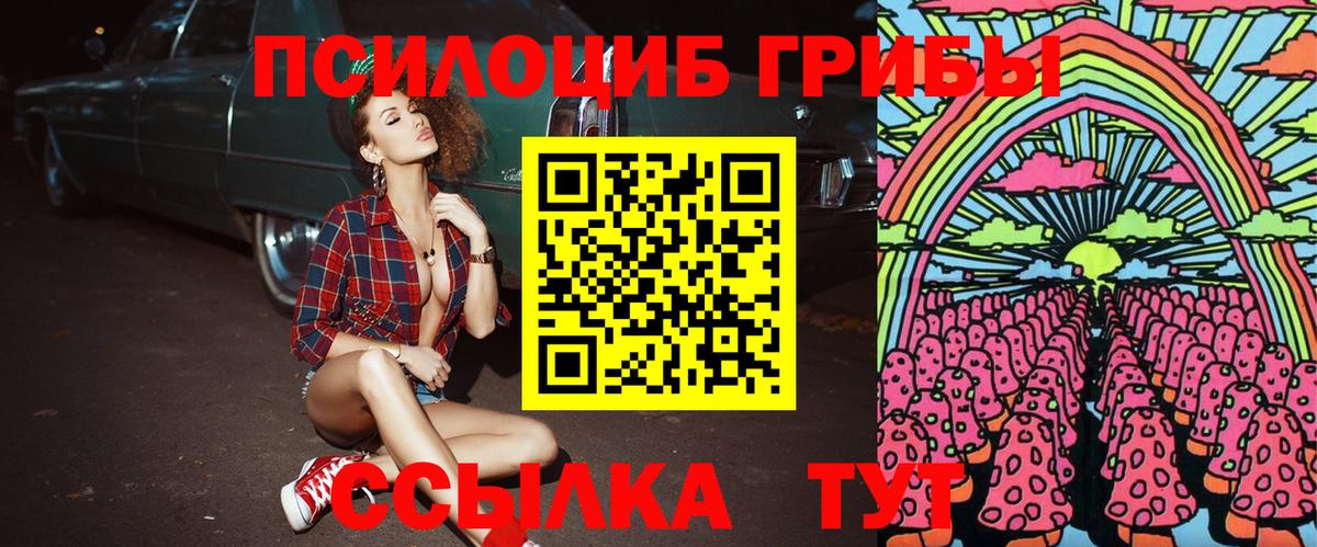 Галлюциногенные грибы Cubensis Волхов